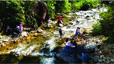 Foto principal de Biomonitoreo de contaminantes