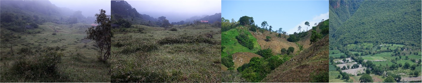 Cambio de uso de suelo 2