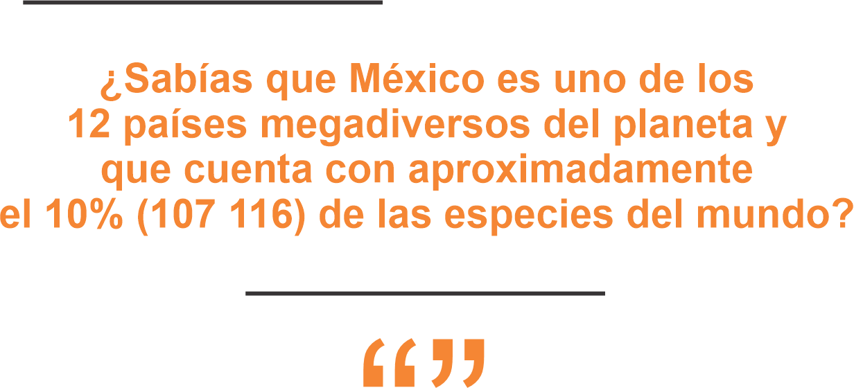 Megadiversidad de México 3