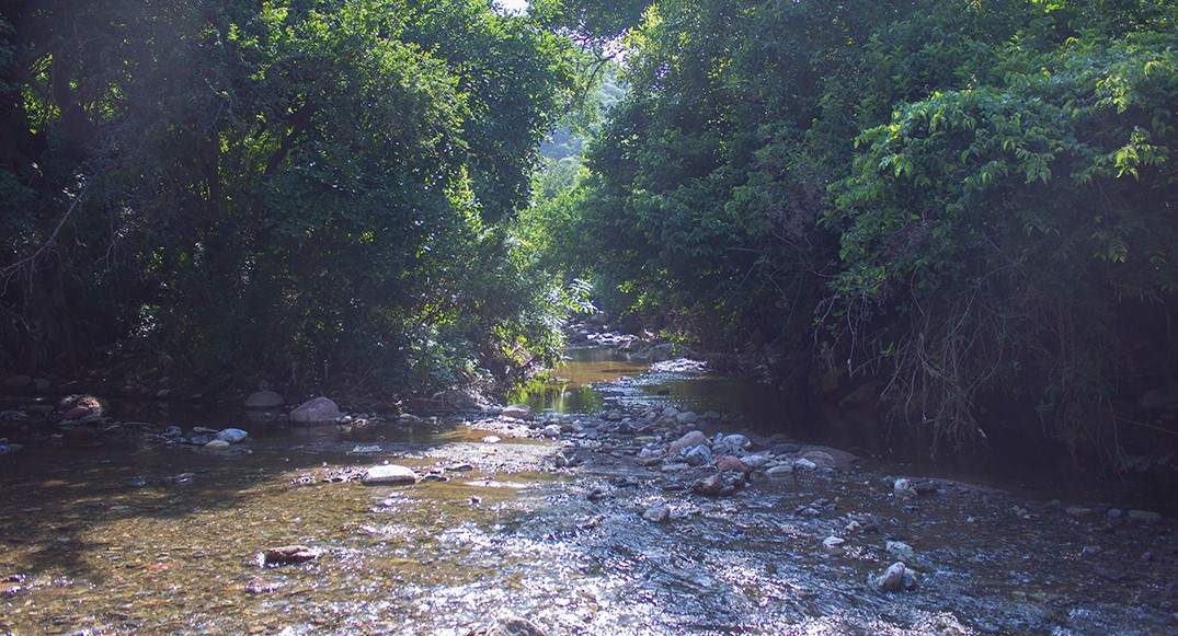 Rio Taxco