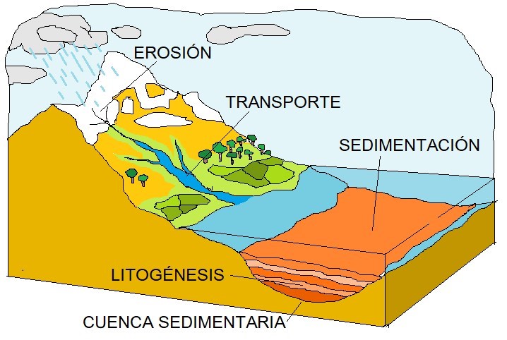 proceso formación